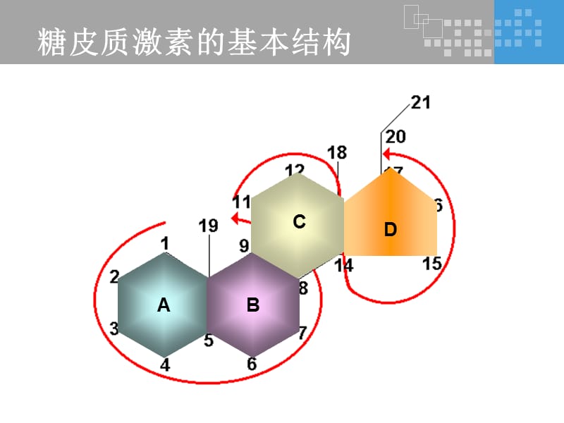 氟轻松是如何发挥其药理作用的？